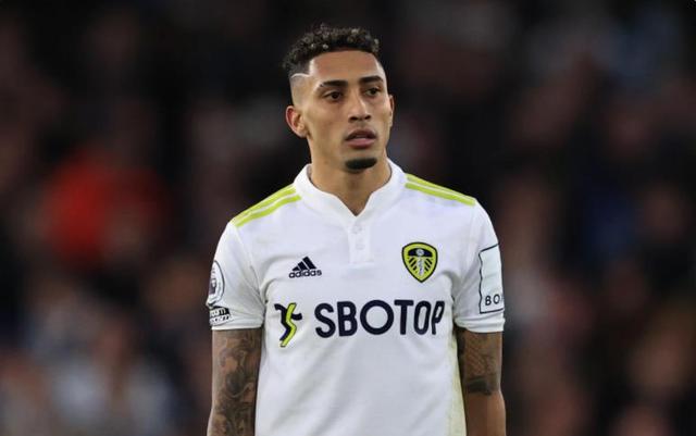 力和意志 力和意志