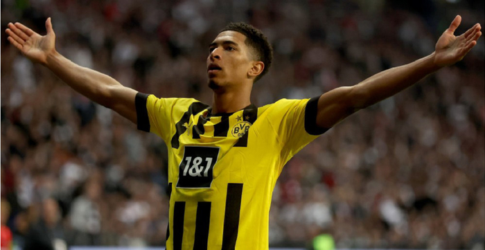 交媒体平台 交媒体平台