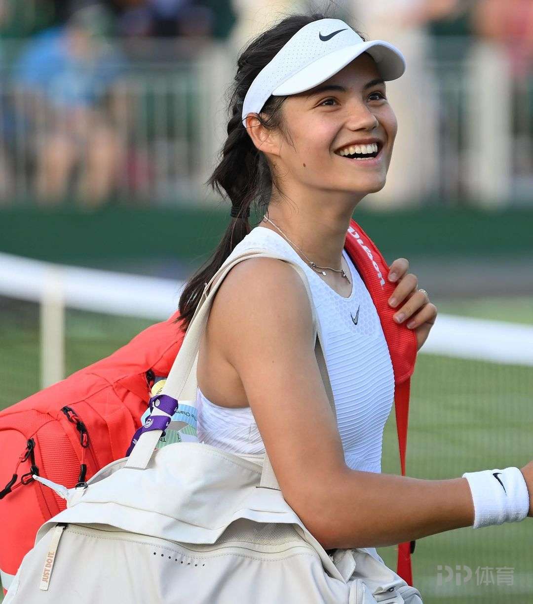 有条不紊的 有条不紊的