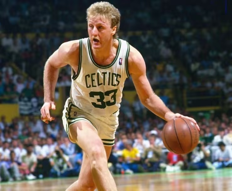 引进新球员 引进新球员