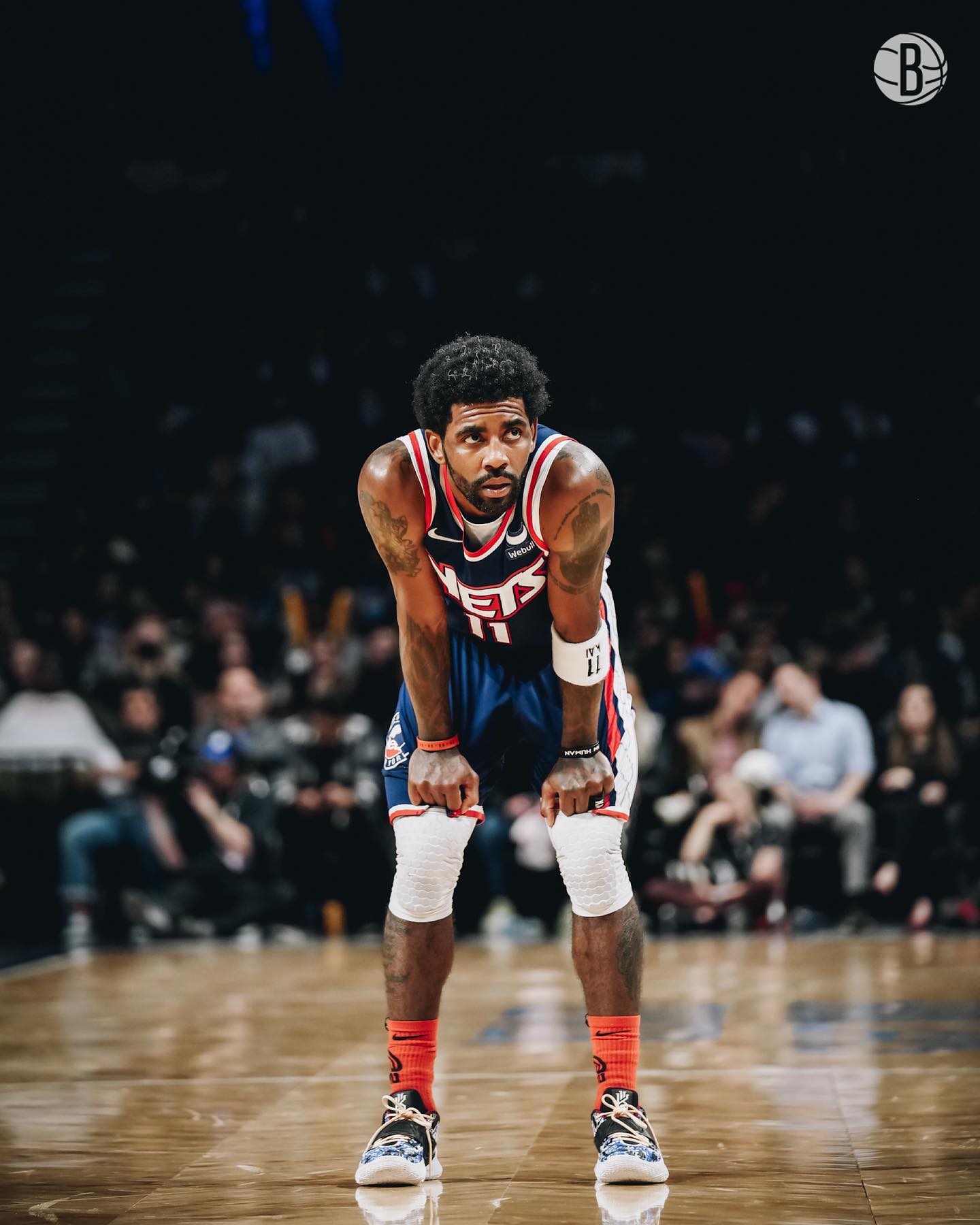 小龙建立可 小龙建立可